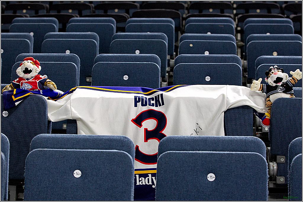 PENNY DEL;  Koelner Haie - Nuernberger Ice Tigers; Koeln, 25.03.2021